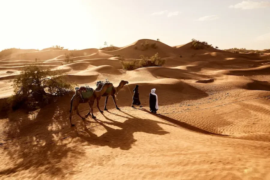 3 Days Fes to Marrakech Desert Tour