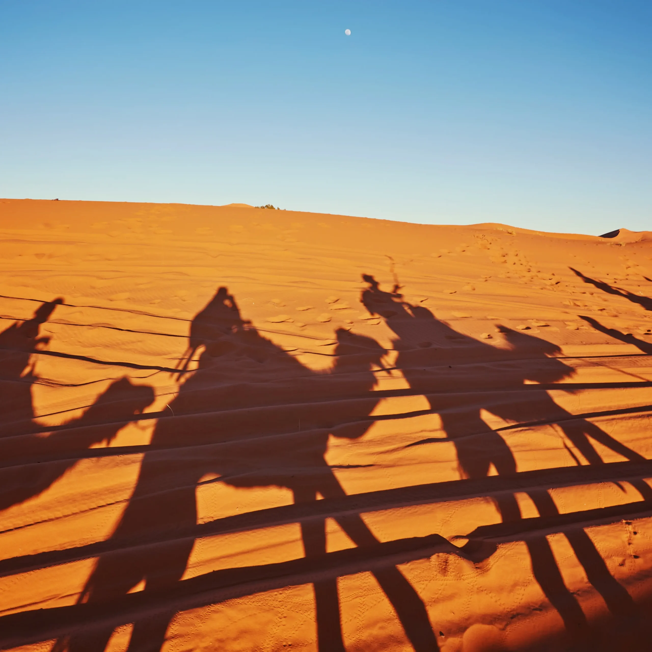 3 Days Marrakech Desert Tour To Agadir